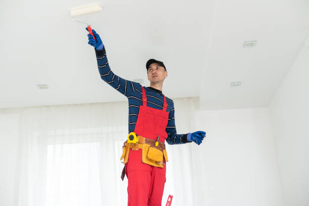 Forensic Mold Investigation in Bowmansville, PA